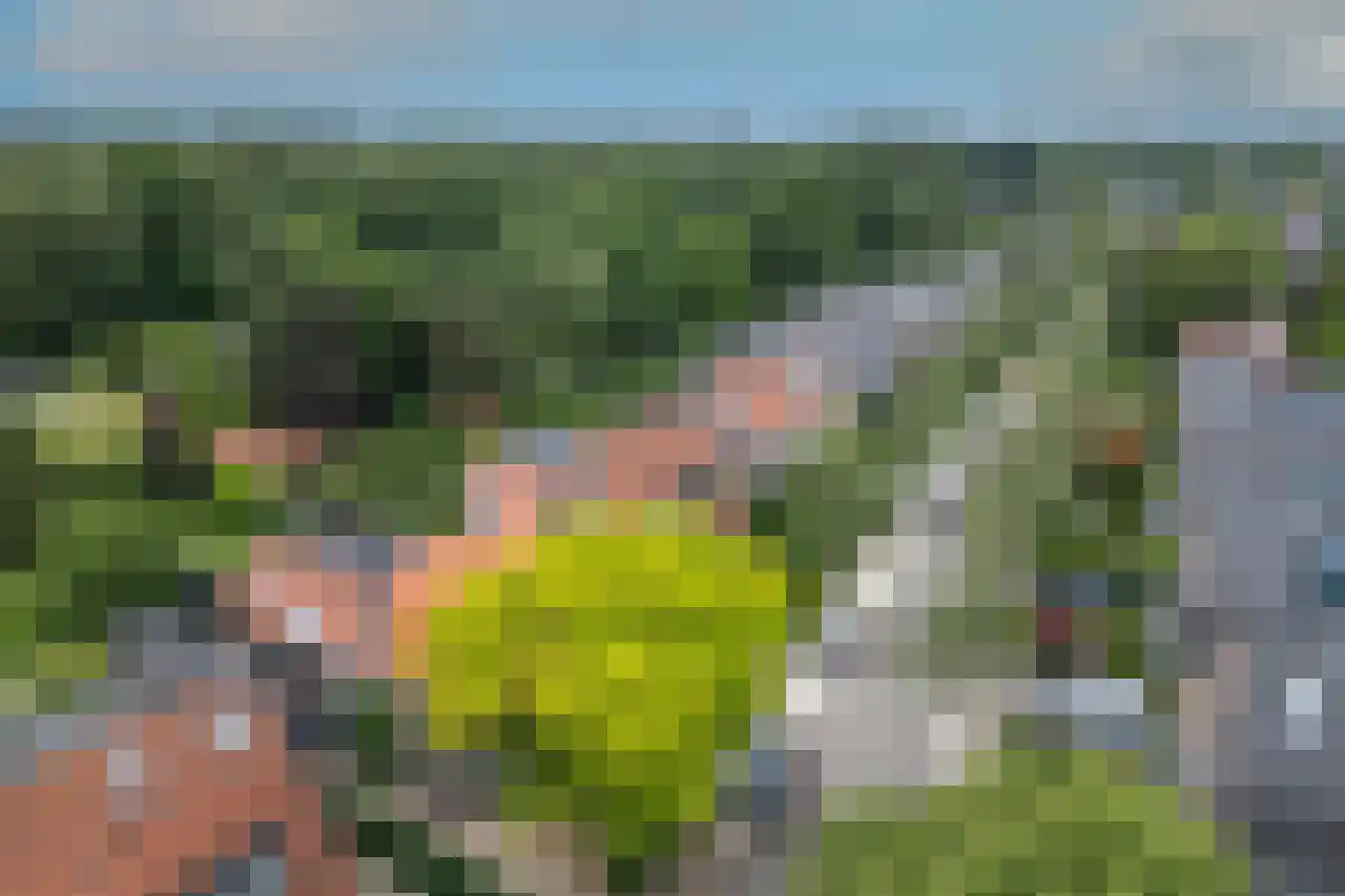 Oosterlaan 37 Driebergen-Rijsenburg thumbnail 44