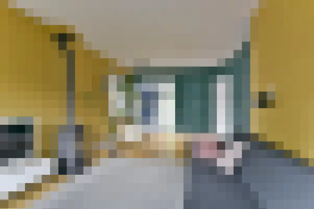 Oosterlaan 37 Driebergen-Rijsenburg thumbnail 7