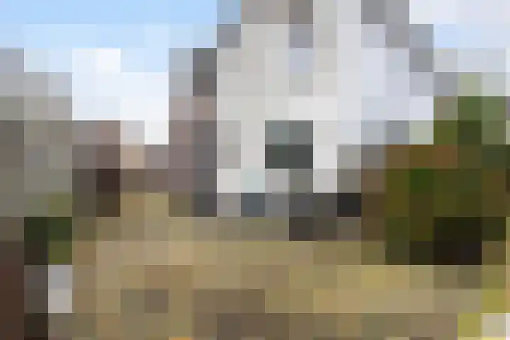 Oosterlaan 46 Apeldoorn thumbnail 16