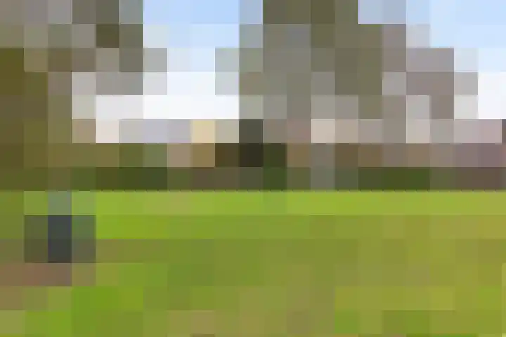 Oosterlaan 46 Apeldoorn thumbnail 40