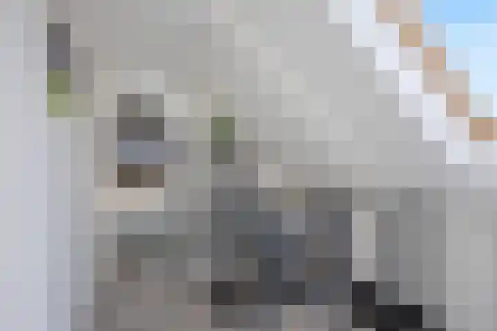 Oosterlaan 5 Schraard thumbnail 22