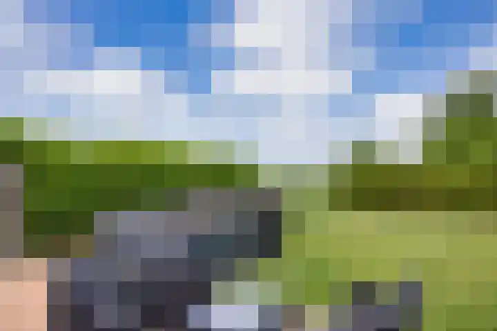 Oosterlaan 5 Schraard thumbnail 36
