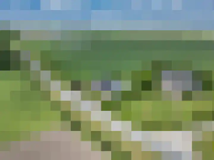 Oosterlaan 5 Schraard thumbnail 46