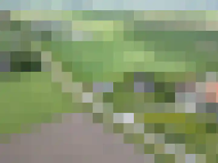Oosterlaan 5 Schraard thumbnail 47