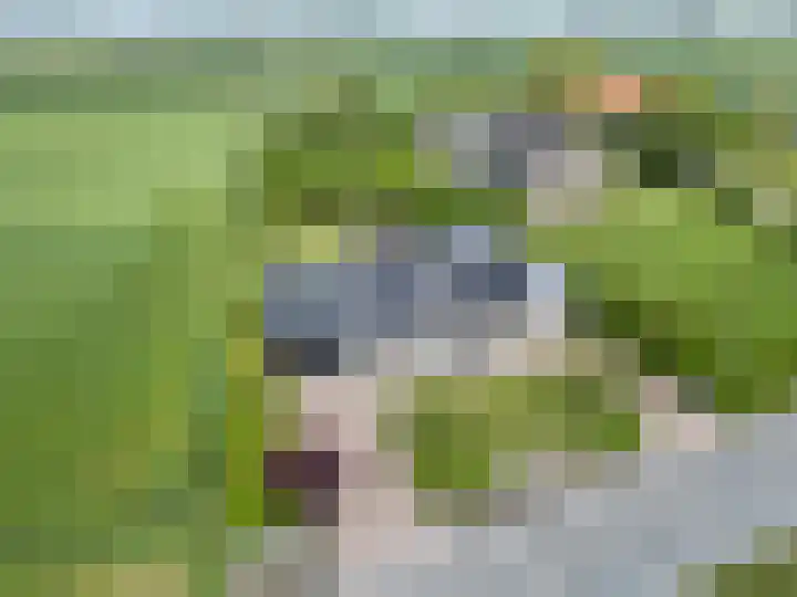 Oosterlaan 5 Schraard thumbnail 49
