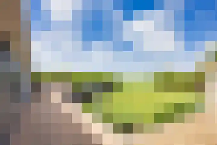 Oosterlaan 5 Schraard thumbnail 6