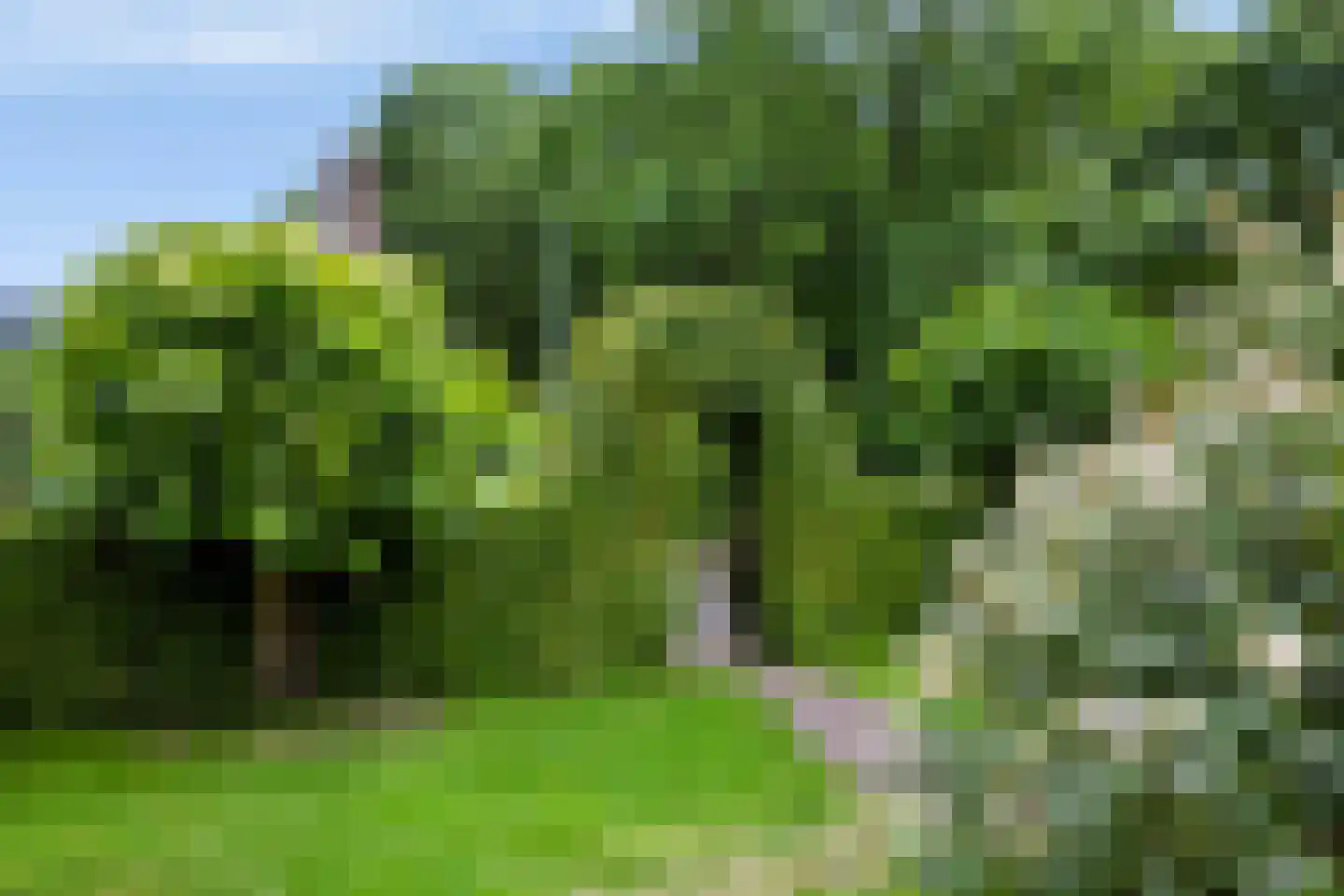 Oosterlaan 53 Nunspeet thumbnail 53