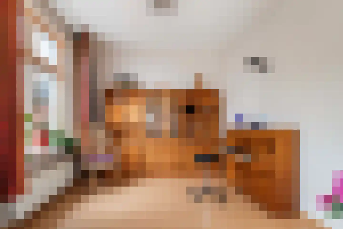 Oosterlaan 63 Apeldoorn thumbnail 6