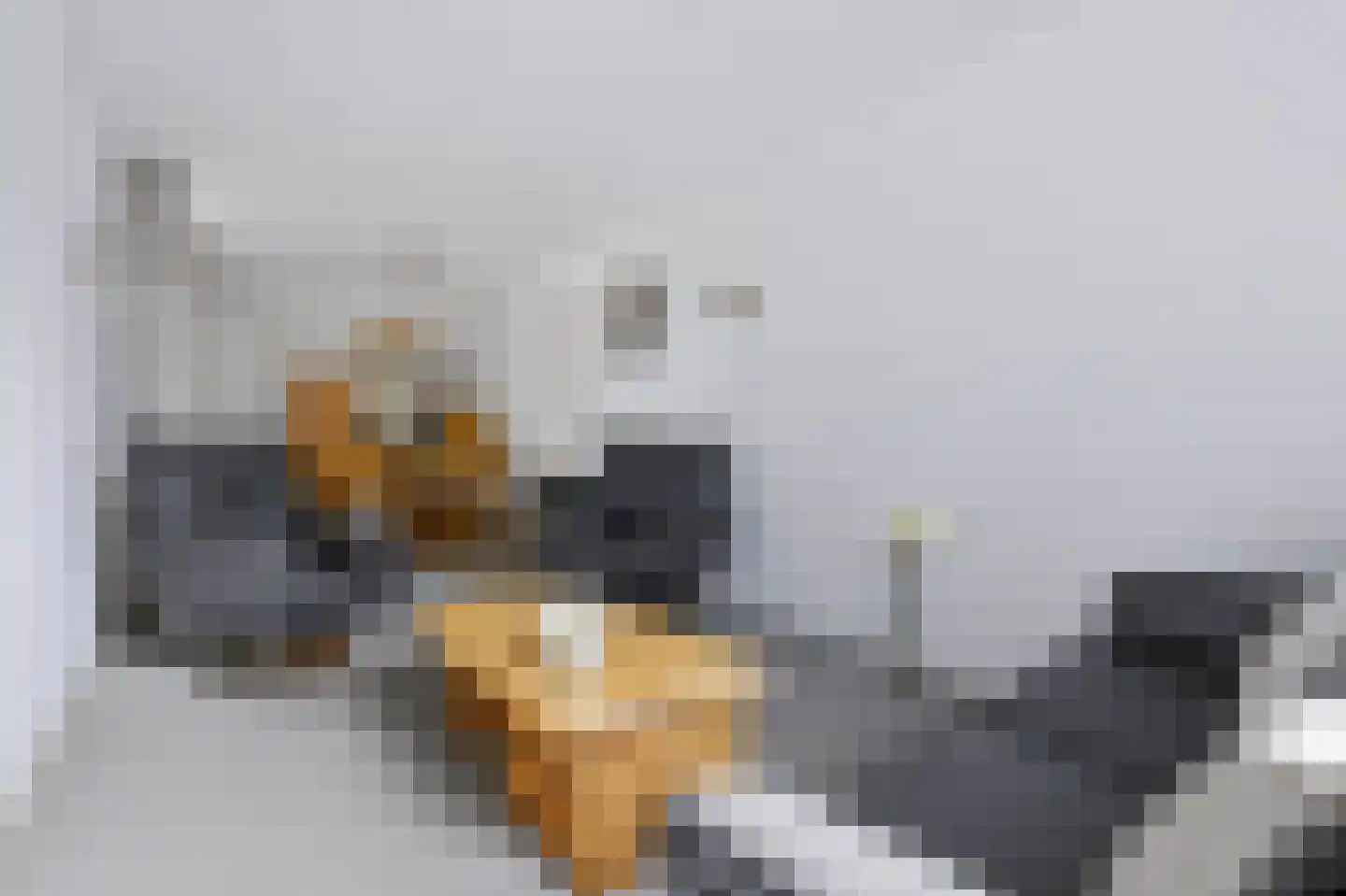 Oosterlaan 7 Apeldoorn thumbnail 16