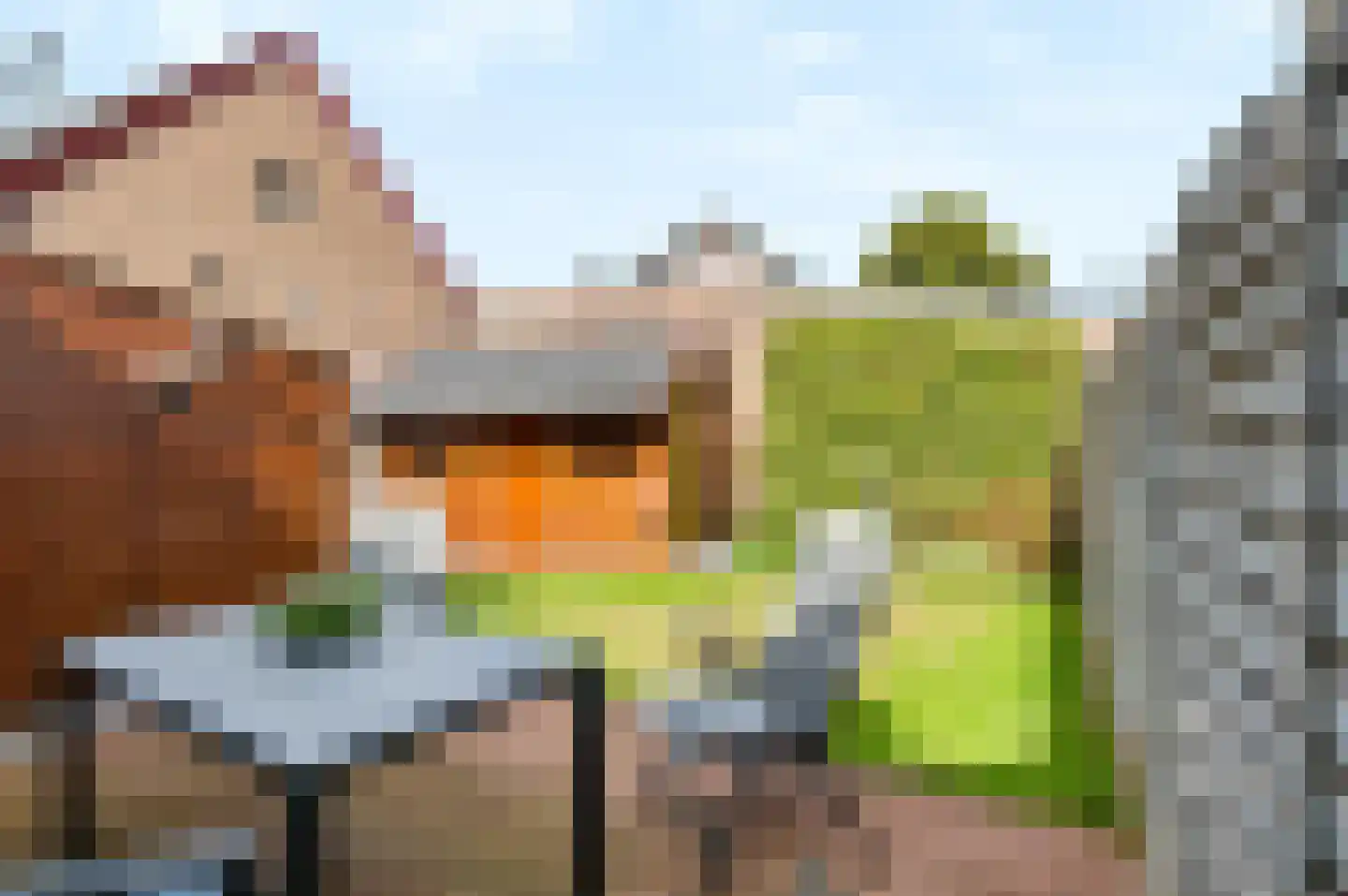 Oosterlaan 7 Apeldoorn thumbnail 33