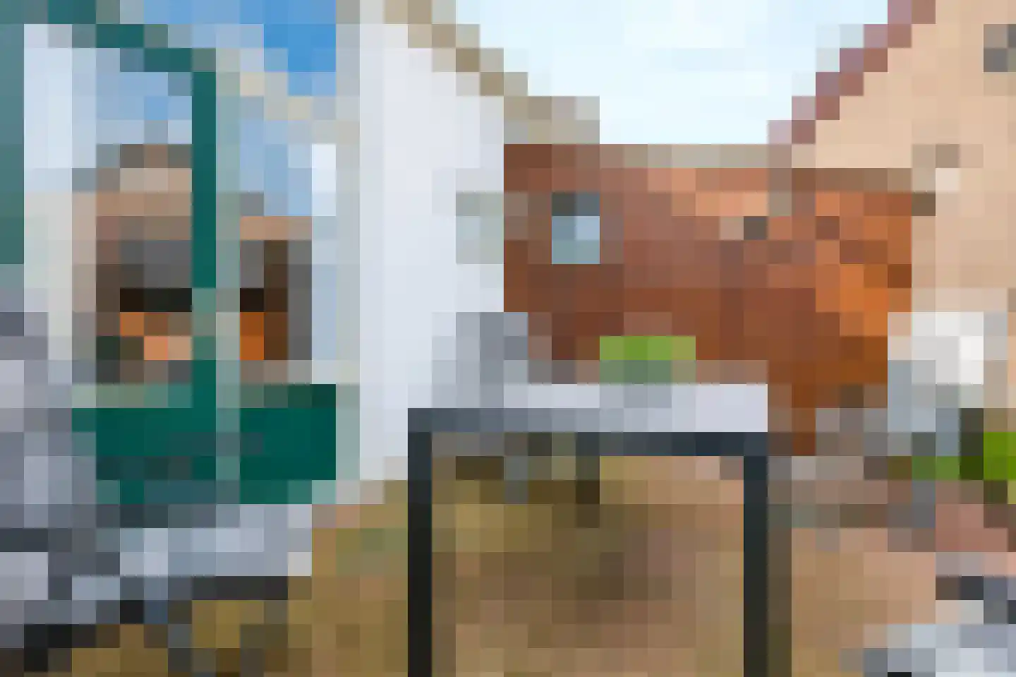 Oosterlaan 7 Apeldoorn thumbnail 34