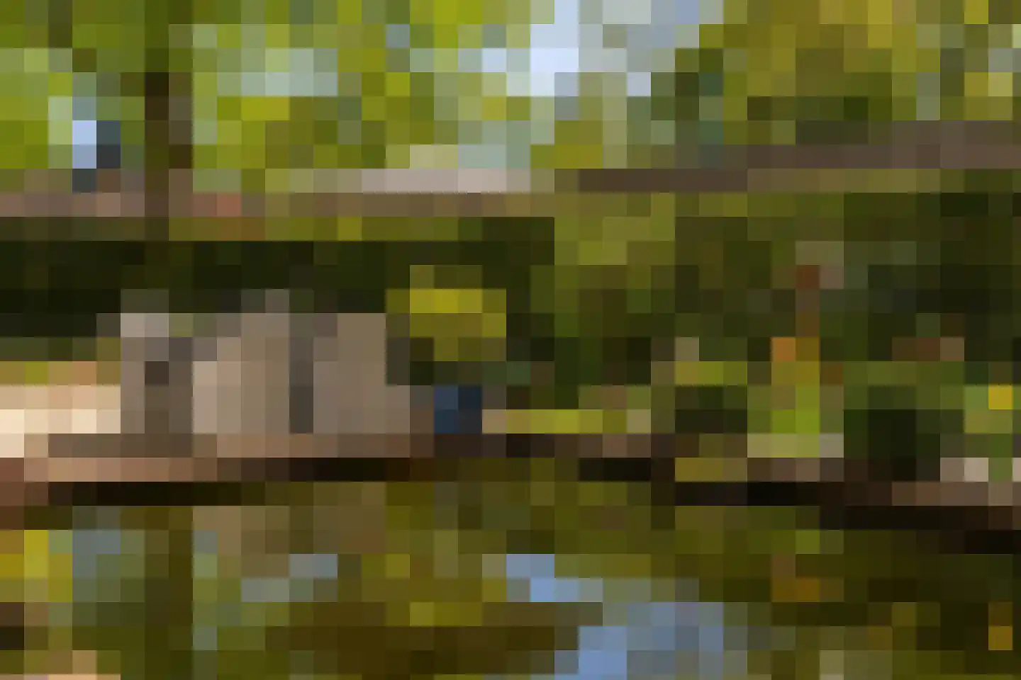 Oosterlaan 78 Nunspeet thumbnail 10