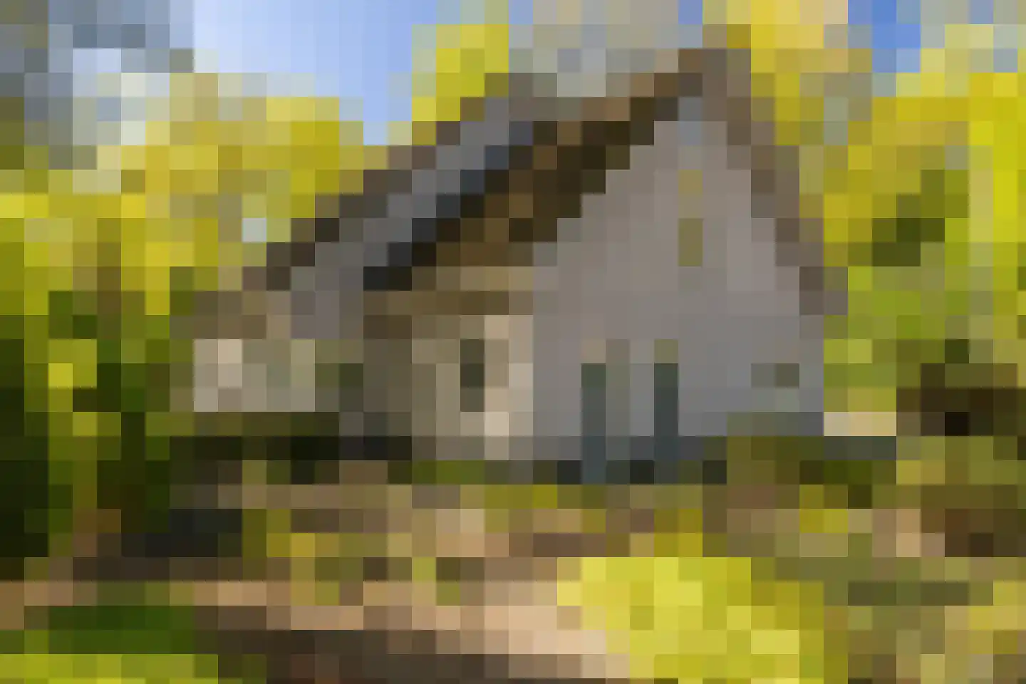 Oosterlaan 78 Nunspeet thumbnail 12