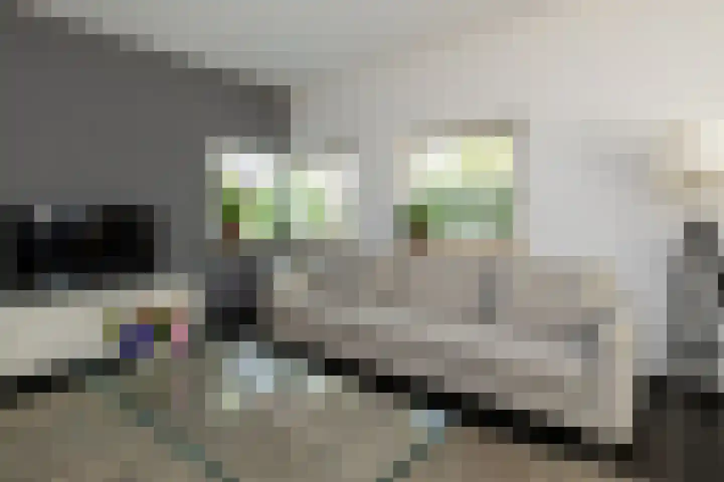 Oosterlaan 78 Nunspeet thumbnail 15