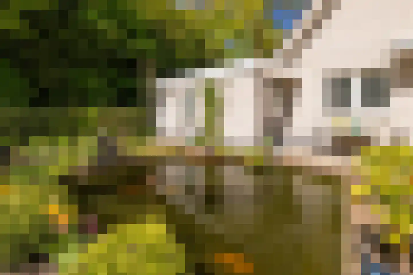 Oosterlaan 78 Nunspeet thumbnail 4