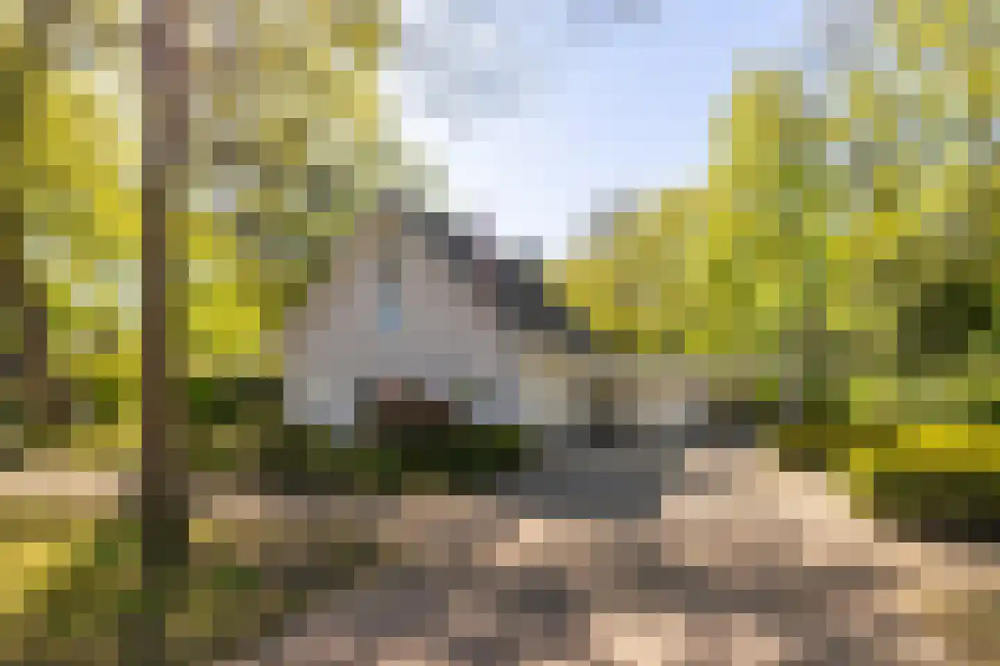 Oosterlaan 78 Nunspeet thumbnail 44
