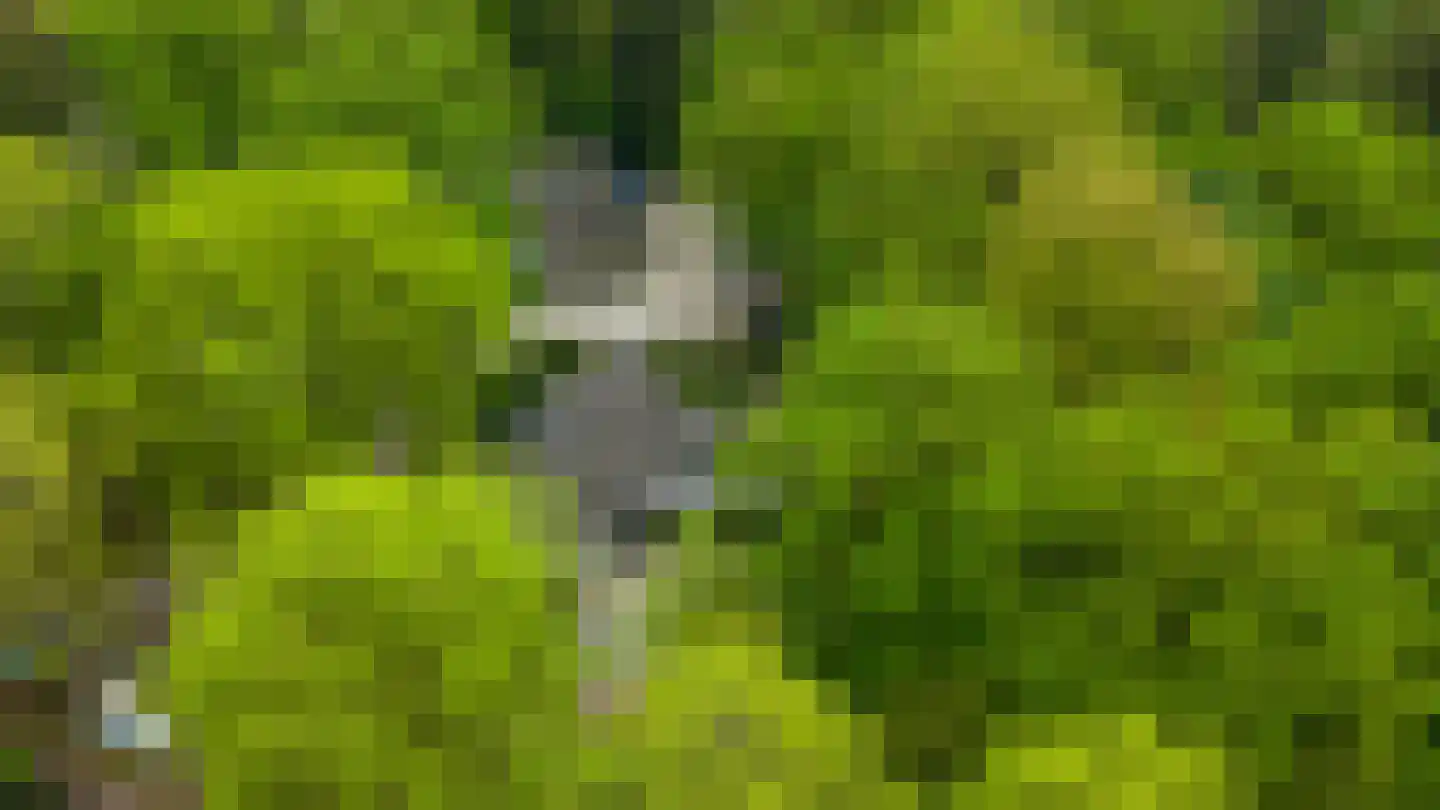 Oosterlaan 78 Nunspeet thumbnail 46