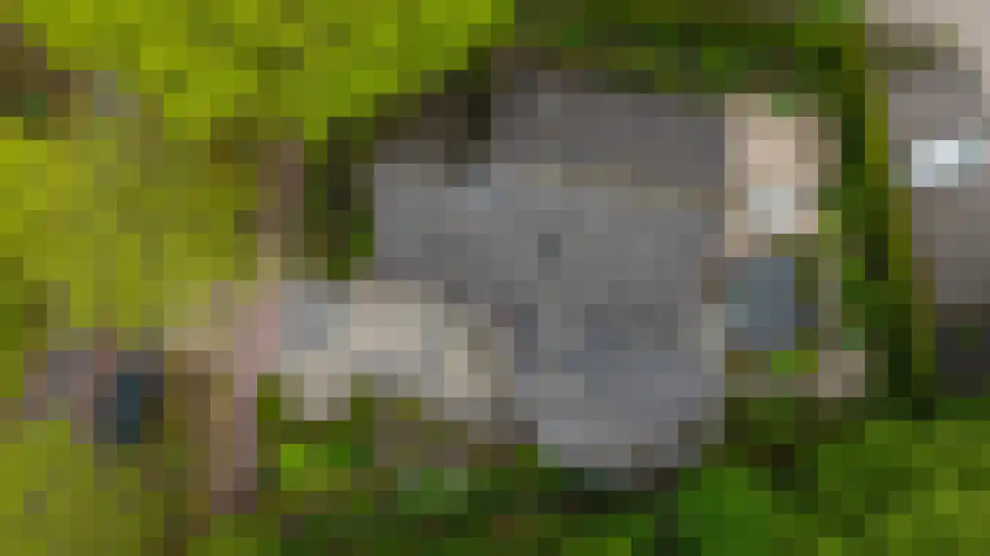 Oosterlaan 78 Nunspeet thumbnail 47