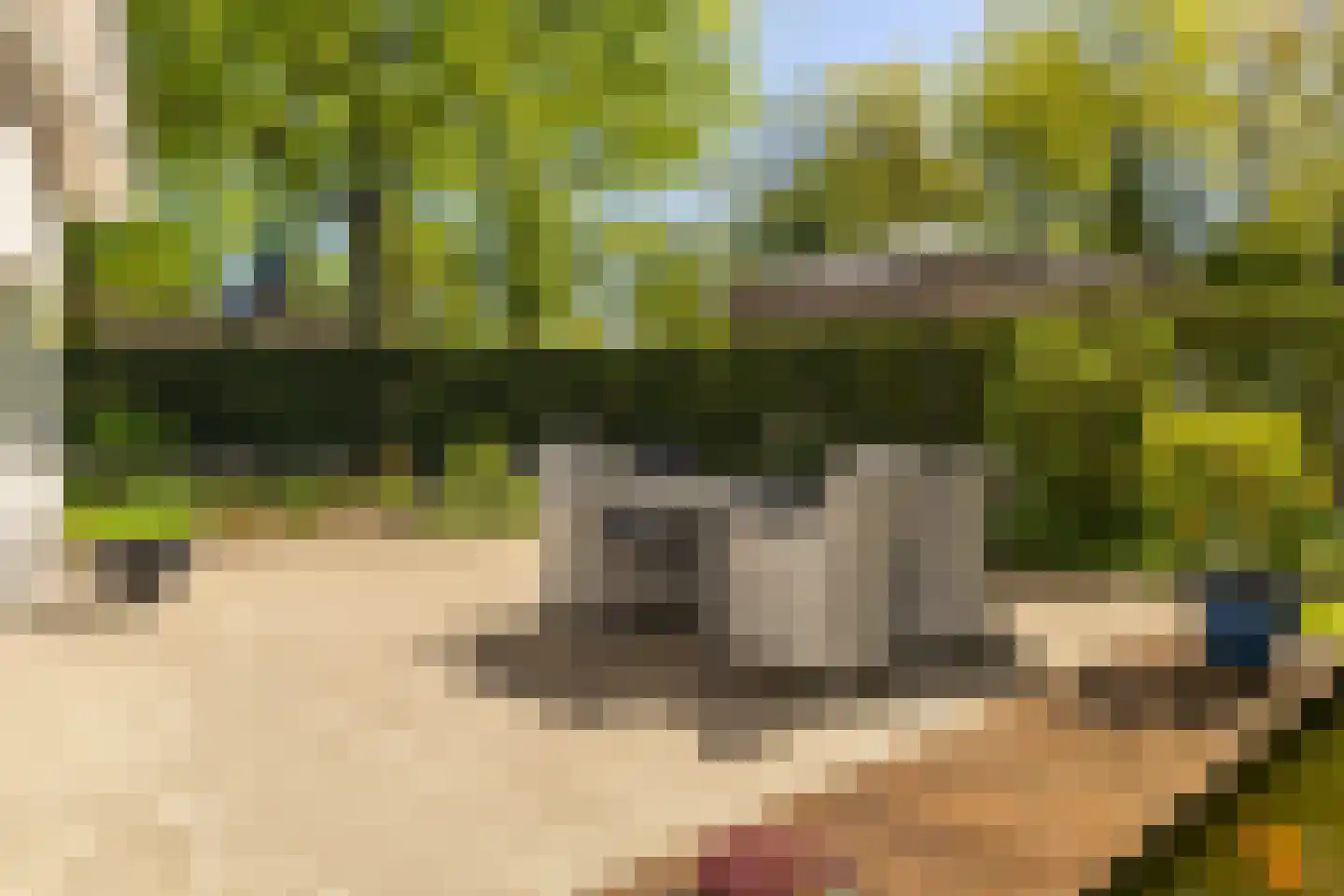 Oosterlaan 78 Nunspeet thumbnail 6