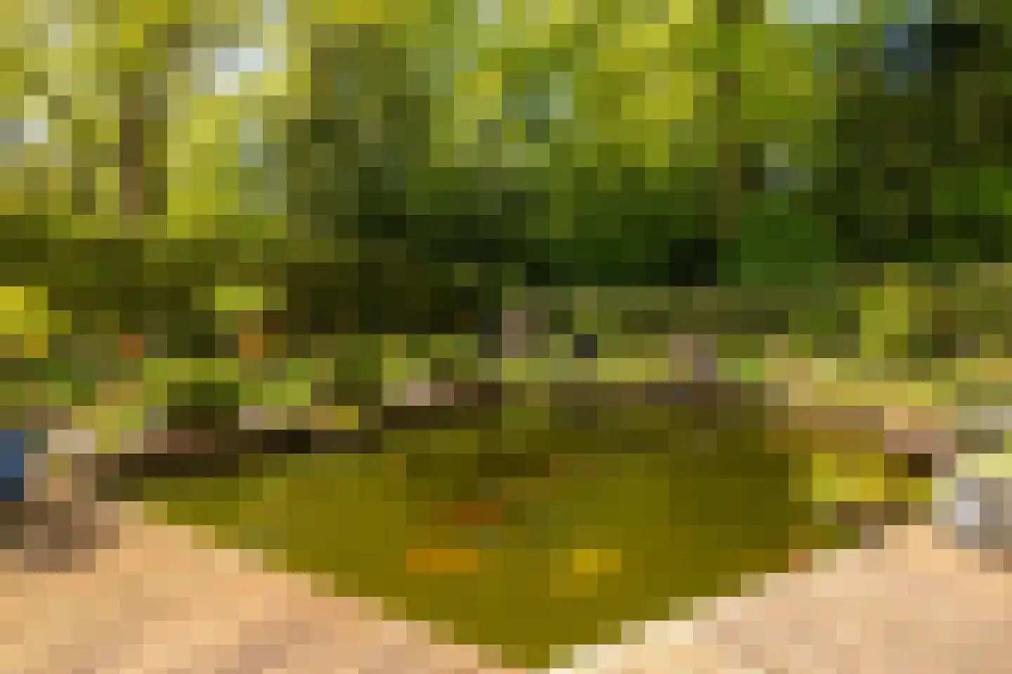 Oosterlaan 78 Nunspeet thumbnail 9