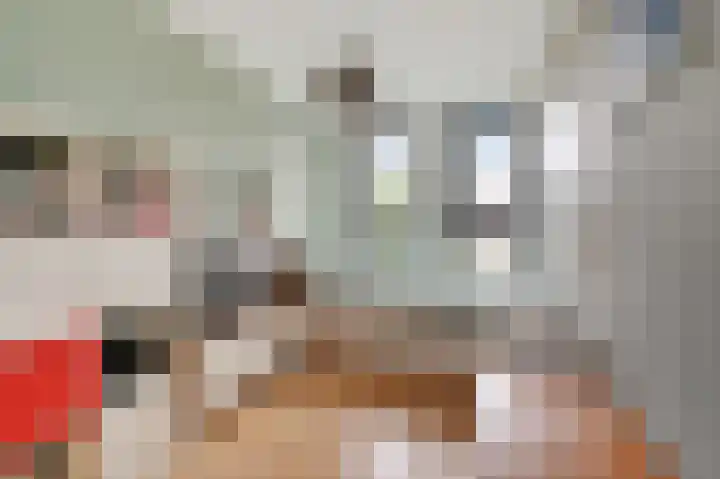 Oosterlaanstraat 14 Voorburg thumbnail 22