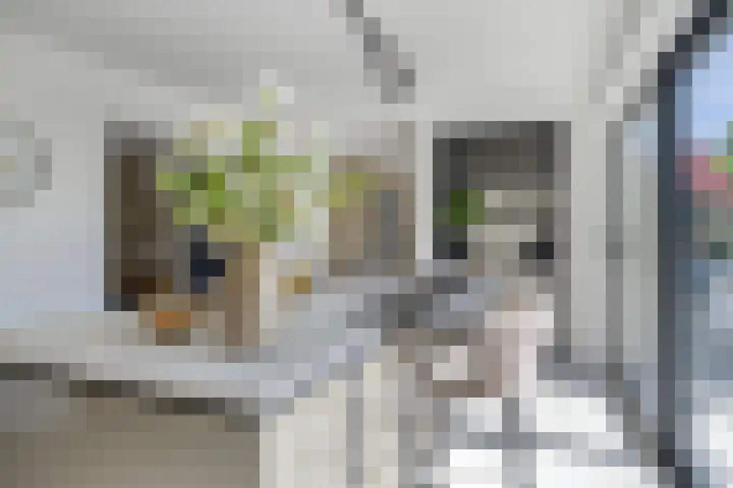 Oosterland 12 Bergen op Zoom thumbnail 28