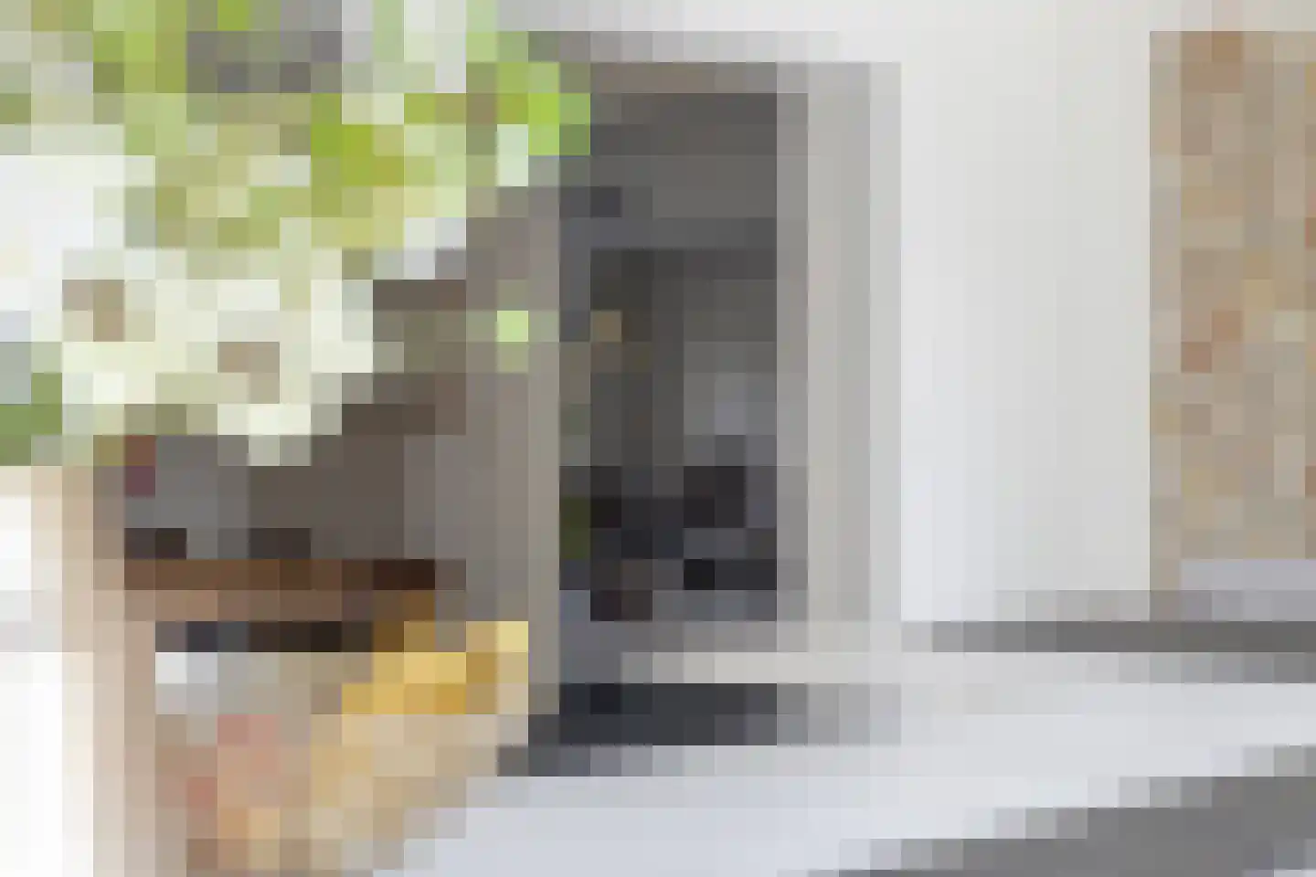 Oosterland 12 Bergen op Zoom thumbnail 29