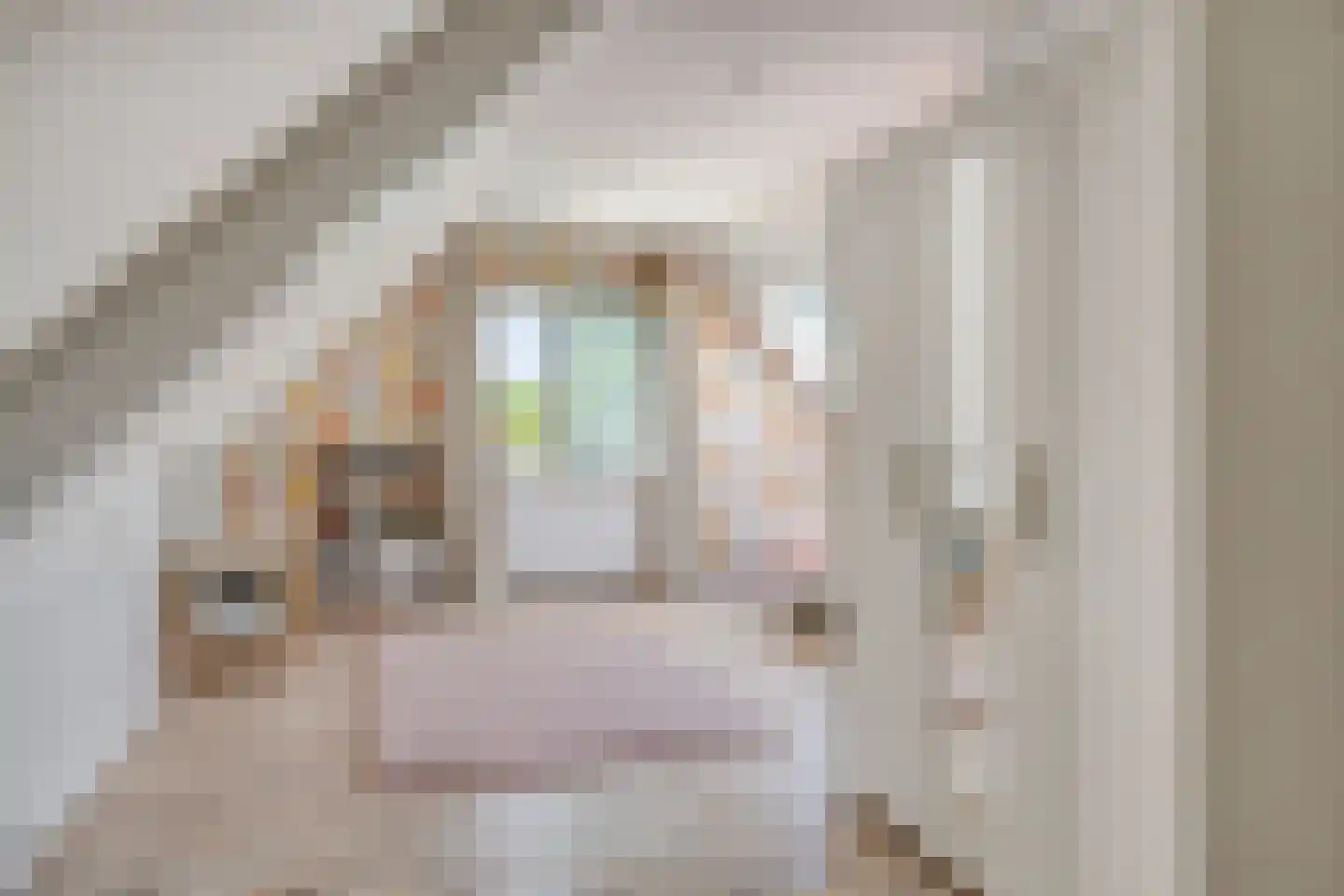 Oosterland 12 Bergen op Zoom thumbnail 39