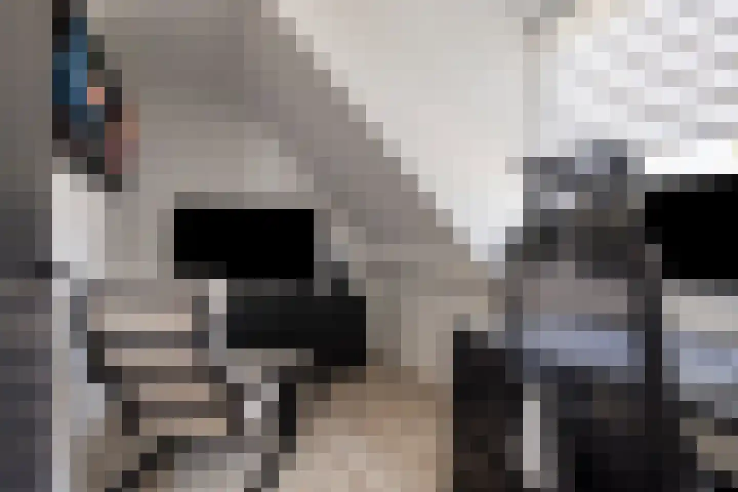 Oosterland 12 Bergen op Zoom thumbnail 44