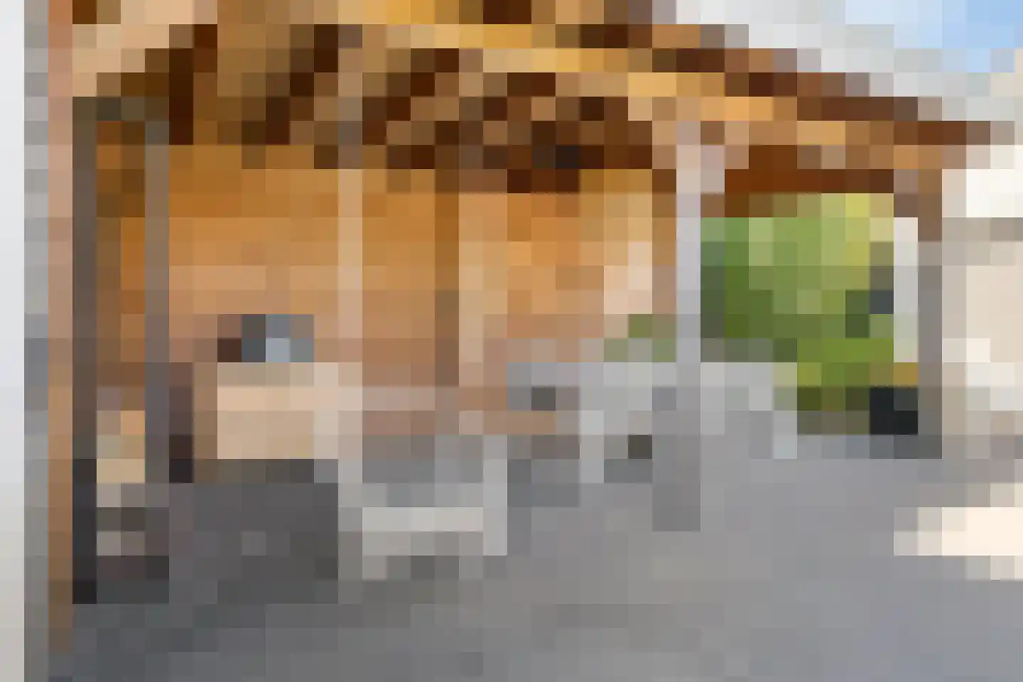 Oosterland 12 Bergen op Zoom thumbnail 59