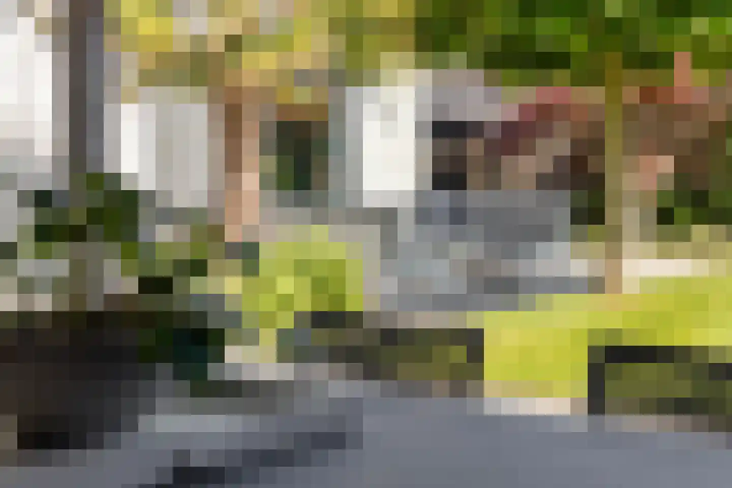 Oosterland 12 Bergen op Zoom thumbnail 61