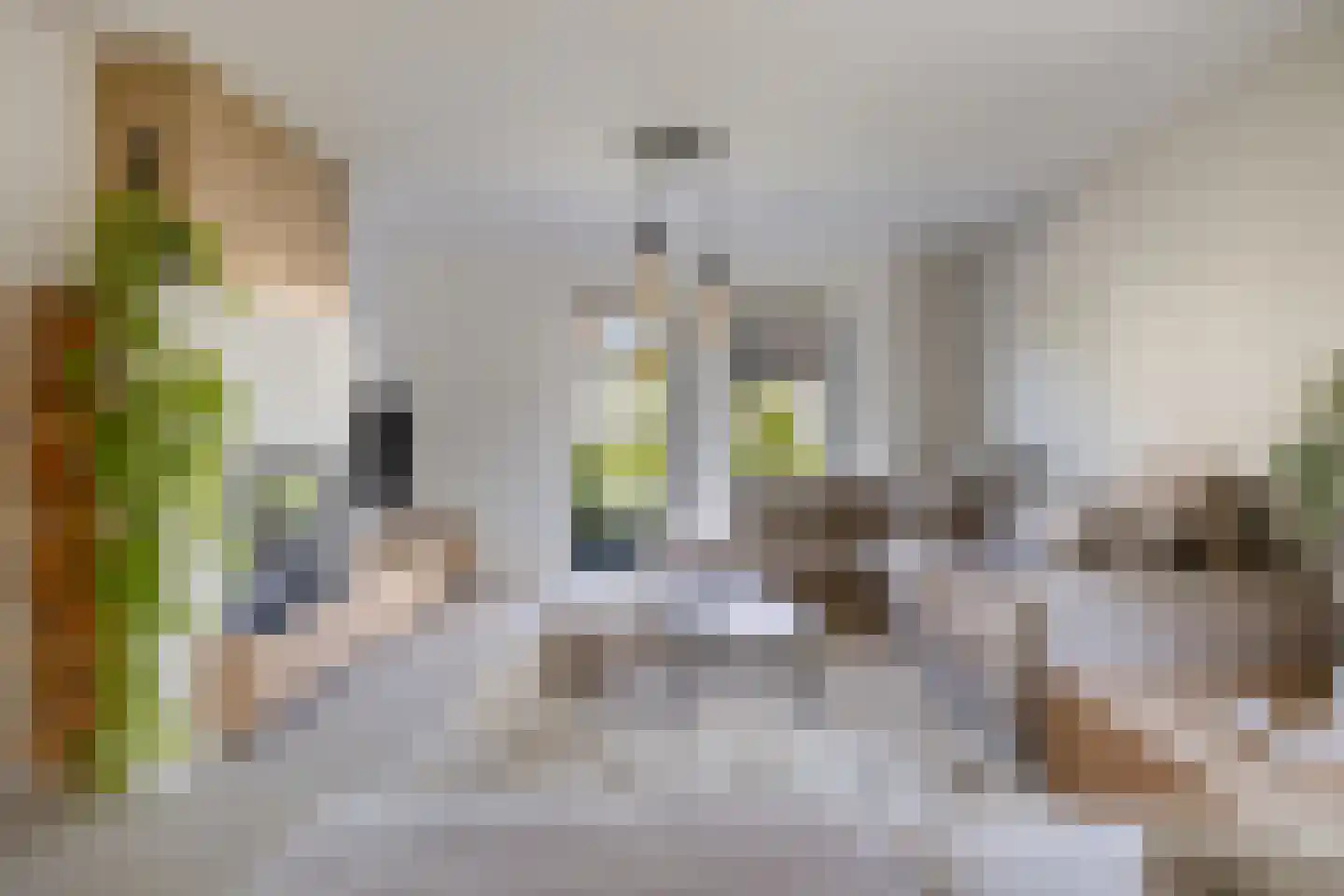 Oosterland 12 Bergen op Zoom thumbnail 9