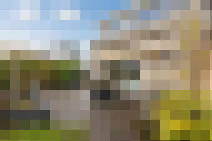 Oosterland 16 Bergen op Zoom thumbnail 37