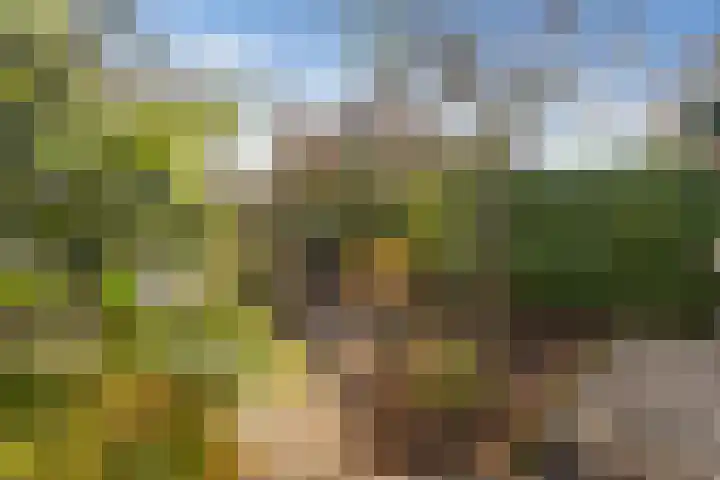 Oosterland 16 Bergen op Zoom thumbnail 39