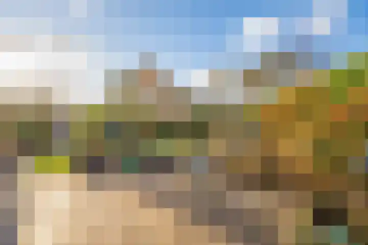 Oosterland 16 Bergen op Zoom thumbnail 40