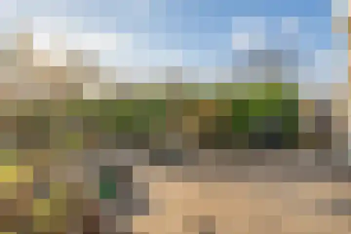 Oosterland 16 Bergen op Zoom thumbnail 41
