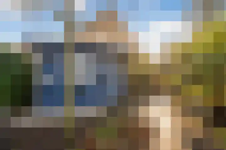 Oosterland 16 Bergen op Zoom thumbnail 42