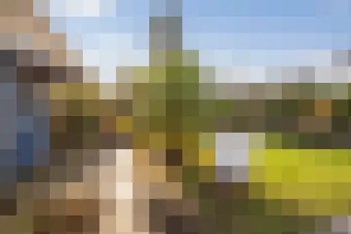 Oosterland 16 Bergen op Zoom thumbnail 43