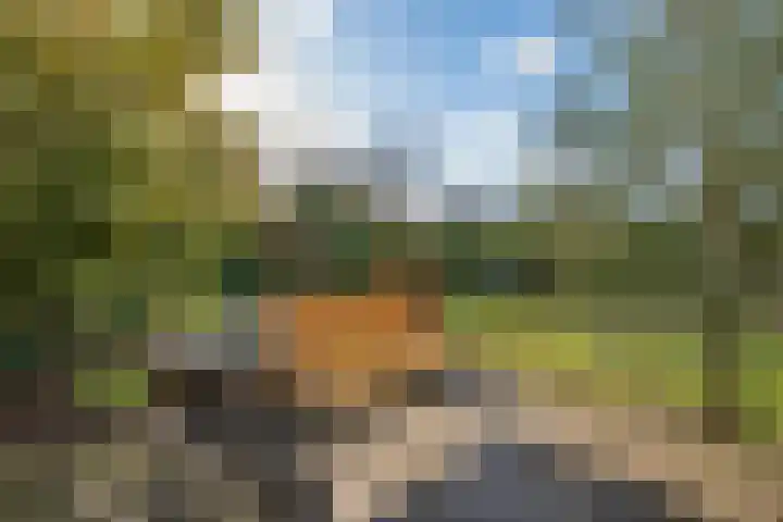 Oosterland 16 Bergen op Zoom thumbnail 44