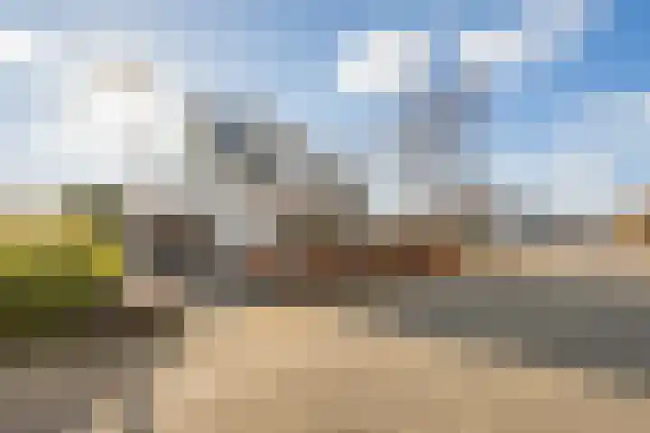 Oosterland 16 Bergen op Zoom thumbnail 5