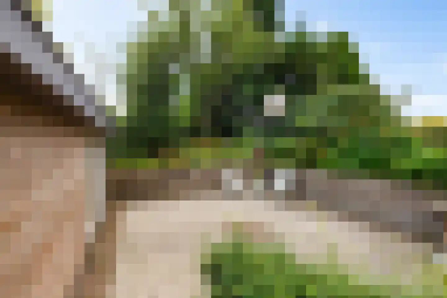 Oosterland 2 Paterswolde thumbnail 28