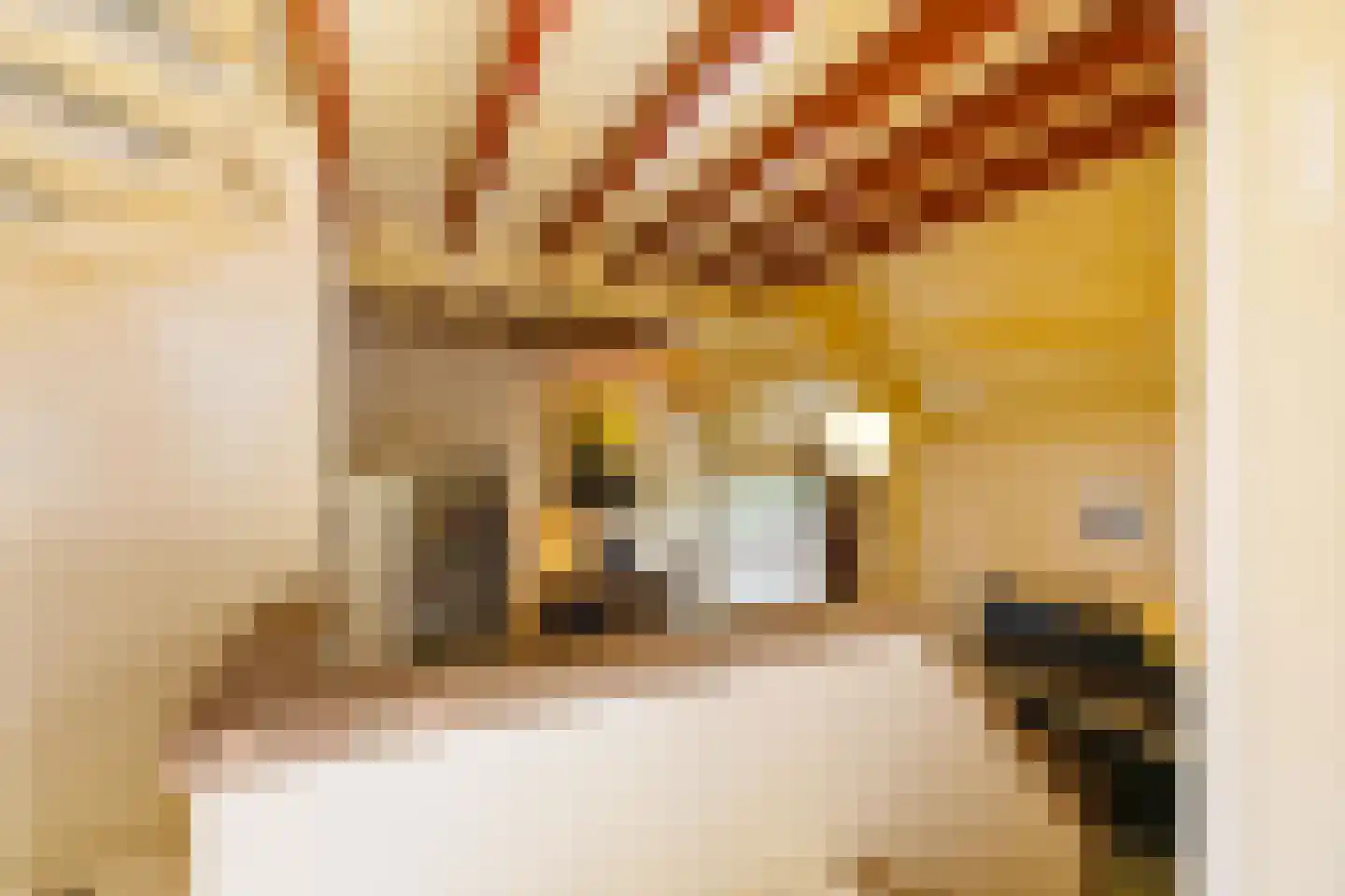 Oosterland 2 Paterswolde thumbnail 30