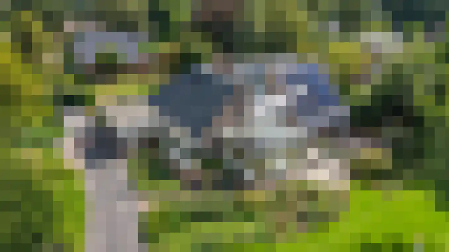 Oosterland 2 Paterswolde thumbnail 70