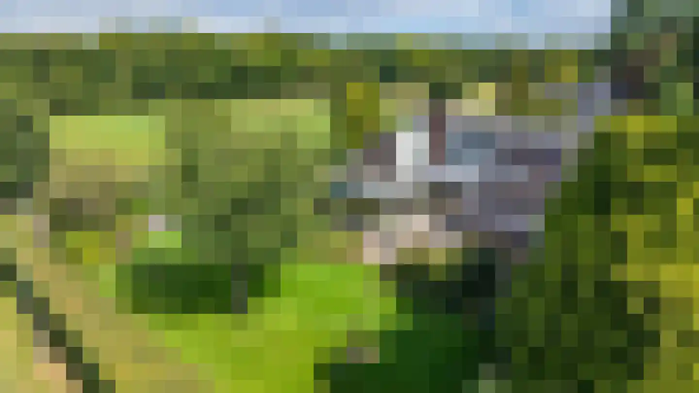 Oosterland 2 Paterswolde thumbnail 72