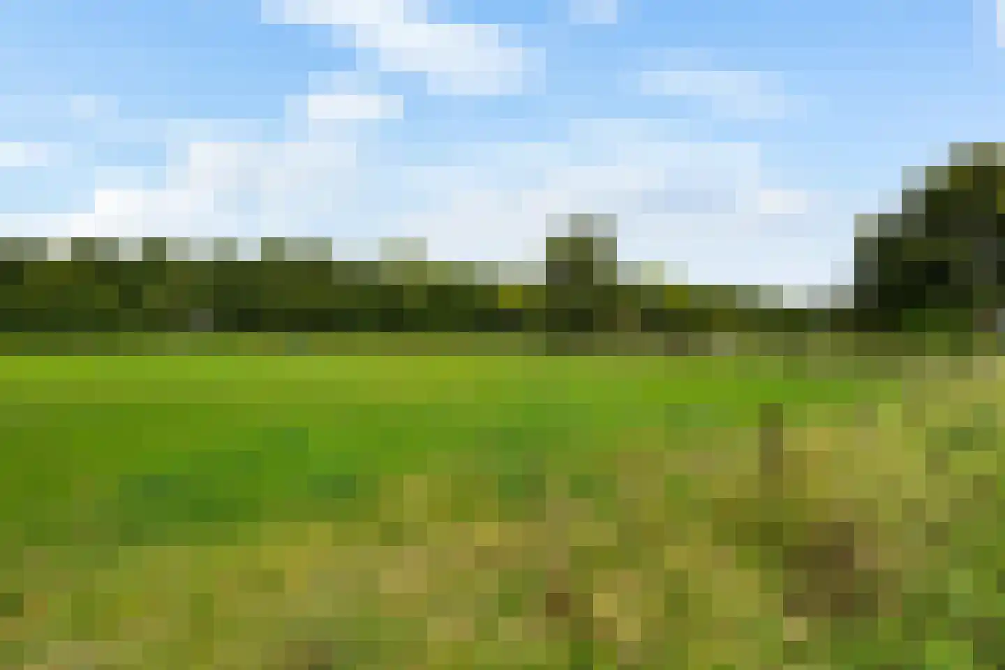 Oosterland 2 Paterswolde thumbnail 75