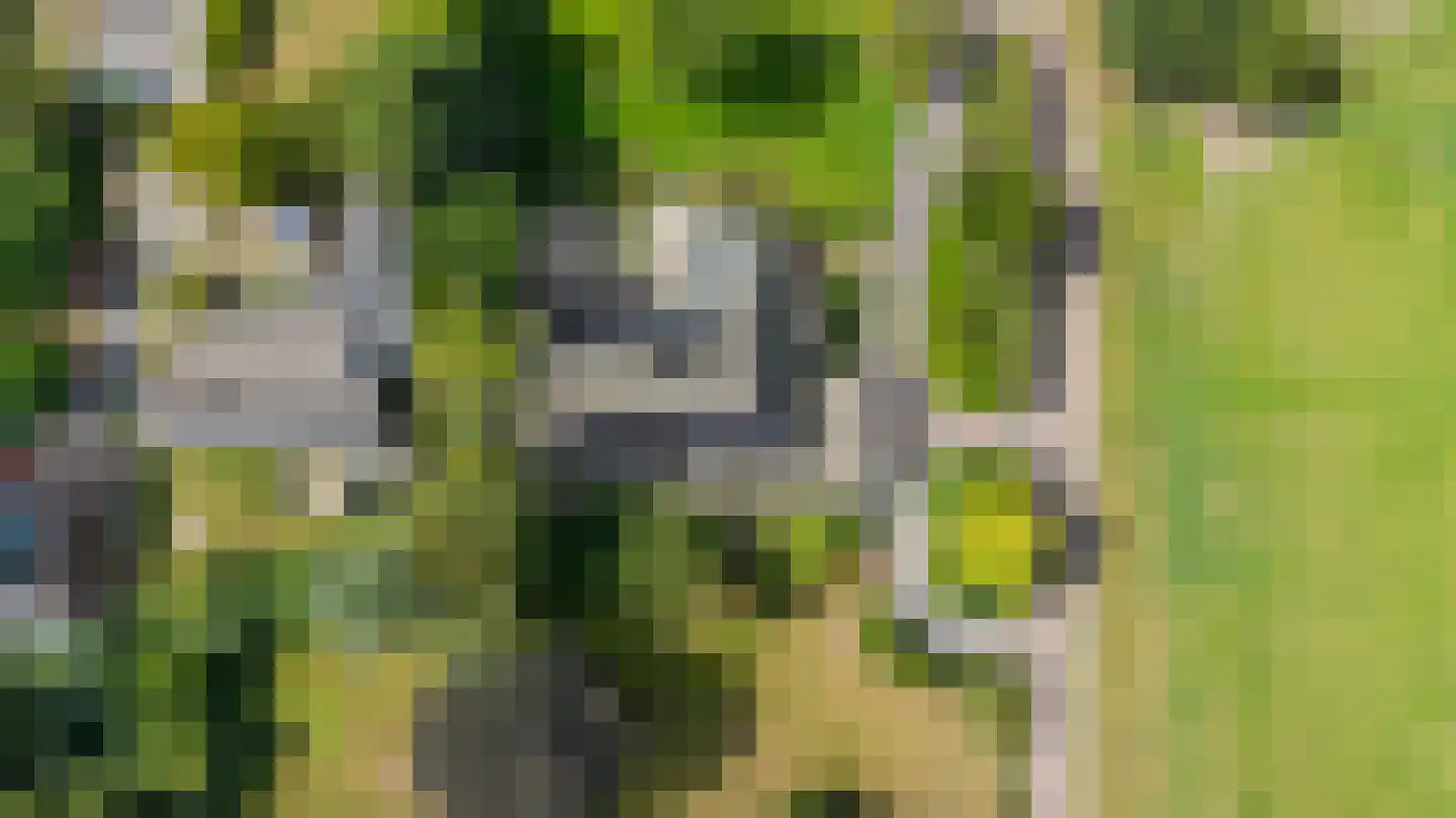 Oosterland 2 Paterswolde thumbnail 77