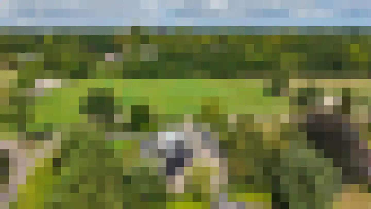 Oosterland 2 Paterswolde thumbnail 78