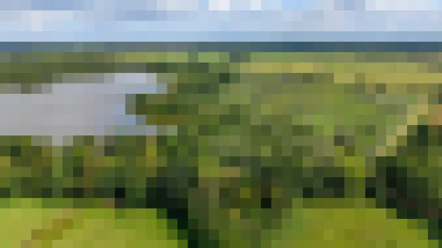 Oosterland 2 Paterswolde thumbnail 79