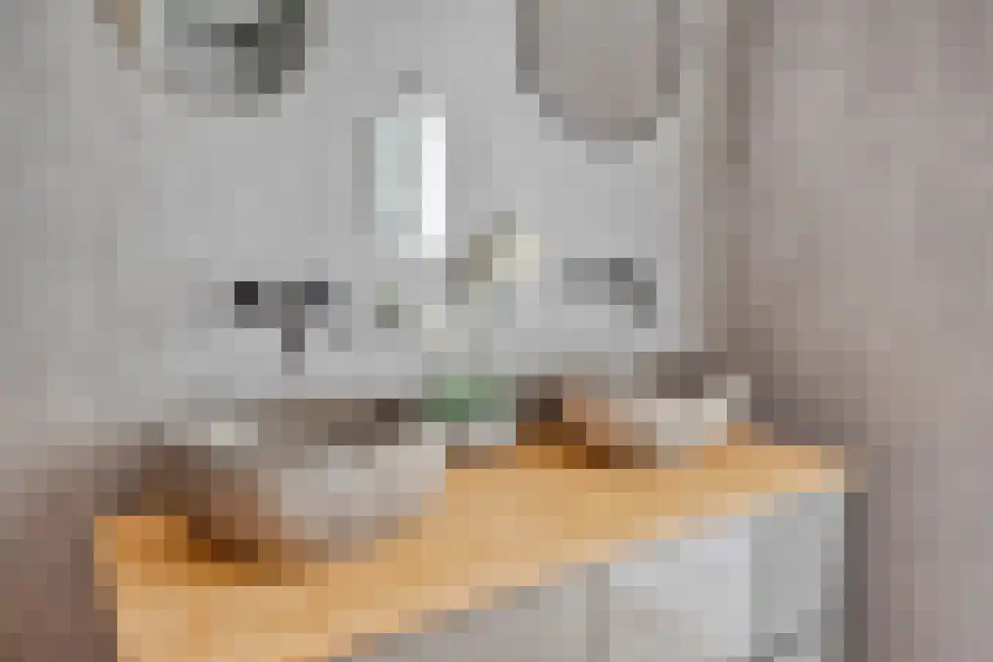 Oosterlandenerf 23 IJsselmuiden thumbnail 45