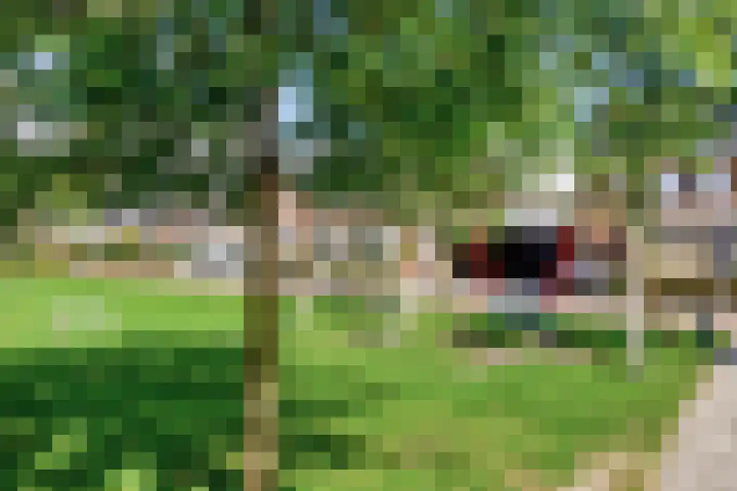 Oosterlandenerf 23 IJsselmuiden thumbnail 67